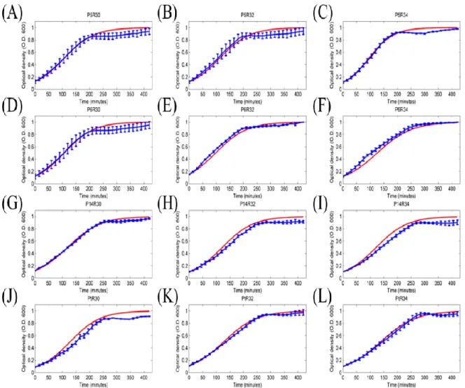 Figure 4: The simulated result of 12 sets of promoter-RBS expression devices.   