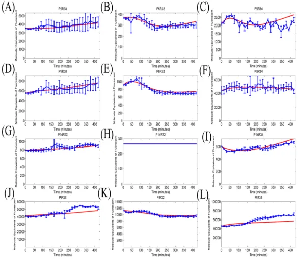 Figure 6: The simulated result of 12 sets of promoter-RBS expression devices. 
