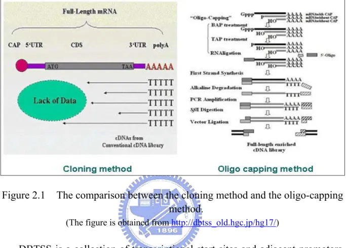 Figure 2.1  The comparison between the cloning method and the oligo-capping  method.  