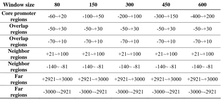 Table 3.4  Positive region and six kinds of negative region of window size we  optimized