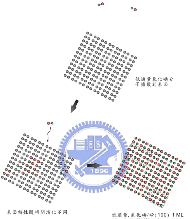圖 3.3.5  低通量氯化碘氣體分子吸附矽(100)表面過程。低通量氯化碘分子與表面上 已吸附物(Adsorbate)間的庫倫斥力(Repulsive force)因距離較遠而變小，因此僅小範 圍 c (2 × 2)結構散佈於表面上。 