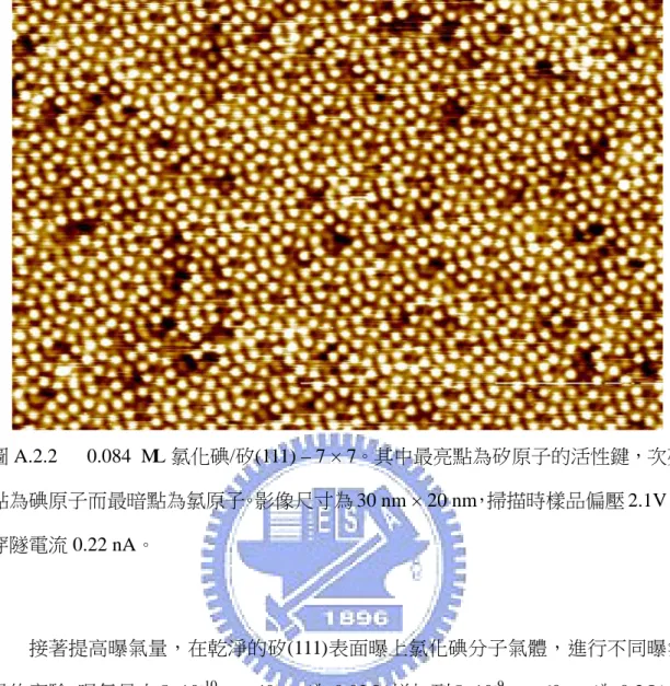 圖 A.2.2   0.084 ML 氯化碘/矽(111) – 7 × 7。其中最亮點為矽原子的活性鍵，次亮 點為碘原子而最暗點為氯原子。影像尺寸為 30 nm × 20 nm，掃描時樣品偏壓 2.1V、