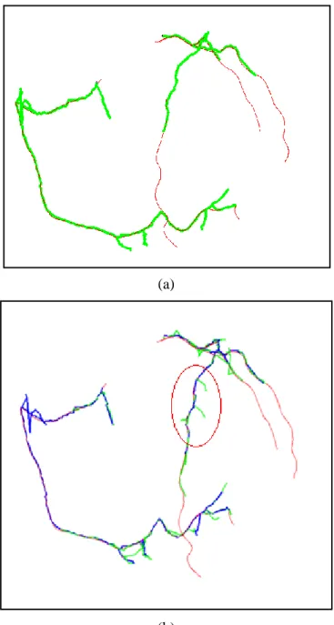 圖 3-20：冠狀動脈樹狀結構。(a)未增加代表點前的樹。(b)新增代表點後的結果(綠色部分)，紅 色圈圈中已經出現了錯誤的分支。紅色細線為標準答案 