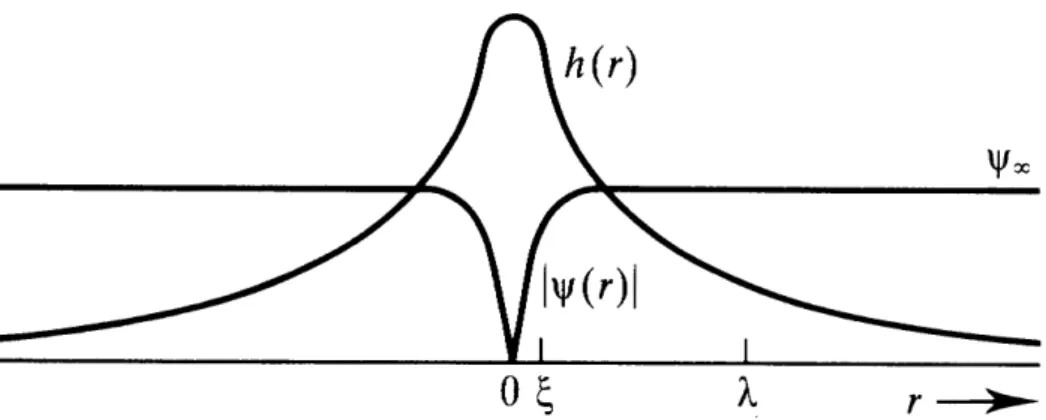 Figure 1.2: The order parameter and the magnetic field profiles of a single Abrikosov vortex