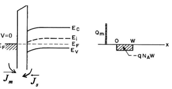 Fig 2 (c) D appe Unde reach 2.4 (a): Ban Dark — rev When the arance of ier this bias hes saturatio d diagram a Chversed bias MIS solarinversion lacondition, ton at large r and current  harge distribr cell is rayer and rethe total curreverse bias J = J − fl