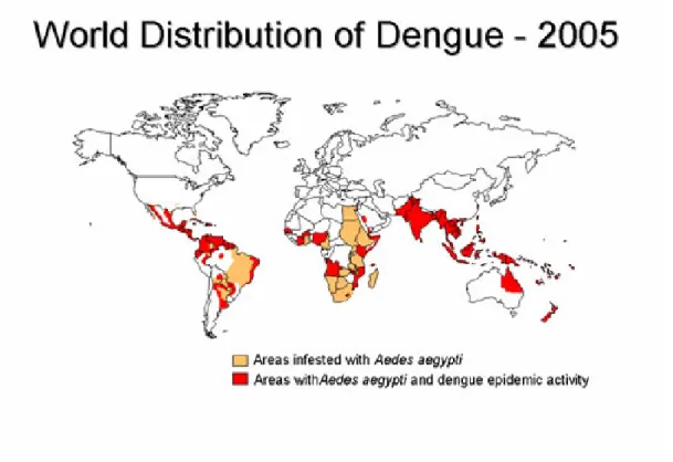 Figure 1.1 World distribution of dengue viruses and their mosquito vector, Aedes aegypti, in  2005 (CDC, 2007)