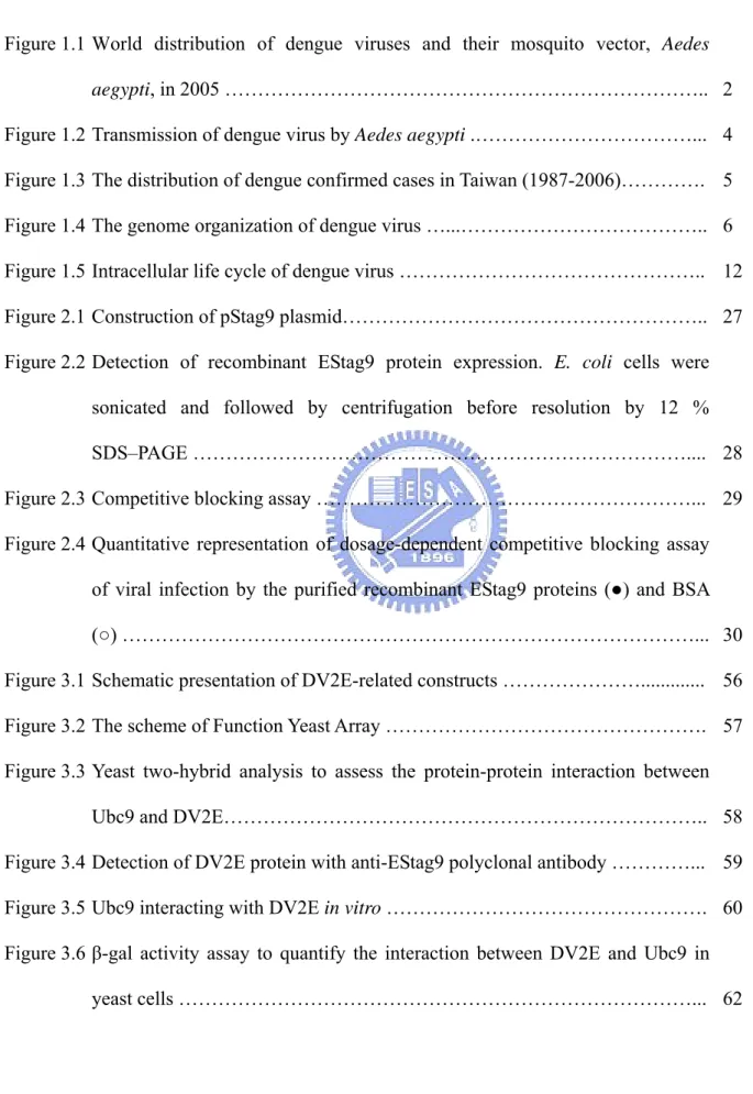 Figure 1.1 World distribution of dengue viruses and their mosquito vector, Aedes 