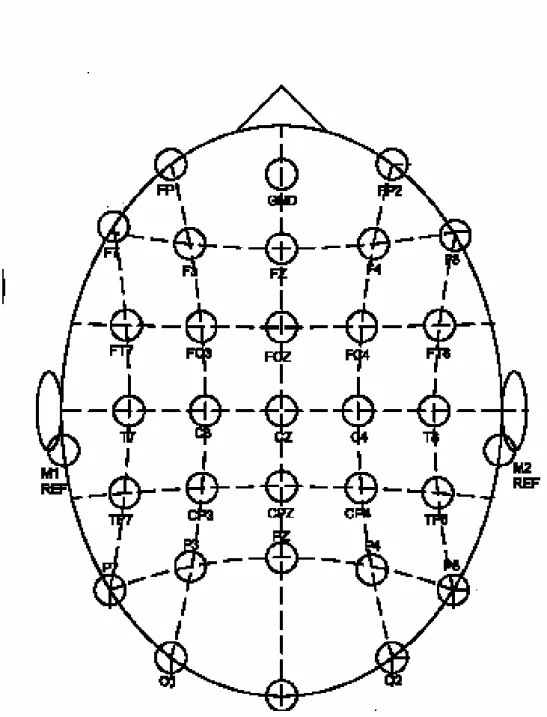 Figure 1 EEG electrodes displacement according to 10-20 system