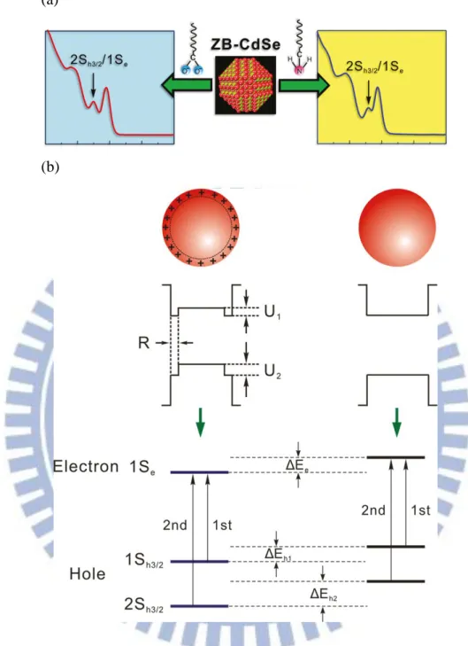 Figure  1-1.Ou  Chen  et  al.  exhibit  surface-functionalization-dependent  excitonic  absorption (a) Show that the transition energy and extinction coefficient of the E 2  (2S h3/2 1S e ) excitonic band of these nanocrystals can be strongly modified by t