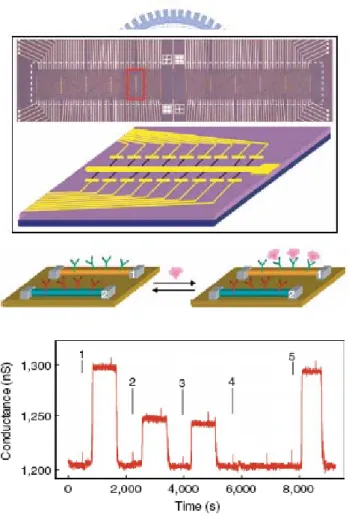 Figure 2.7 Multiplexed electrical detection      of cancer markers with nanowire sensor  arrays