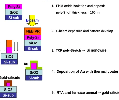 Figure 3.1 The fabrication of gold silicide nanowires 