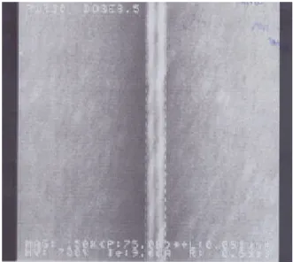 Figure 3.3 The inline SEM image of  80nm poly-Si nanowire 