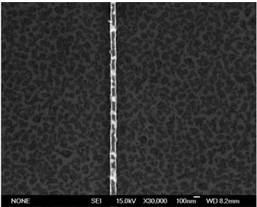 Figure 3.5 SEM image of 80nm gold silicide nanowire 