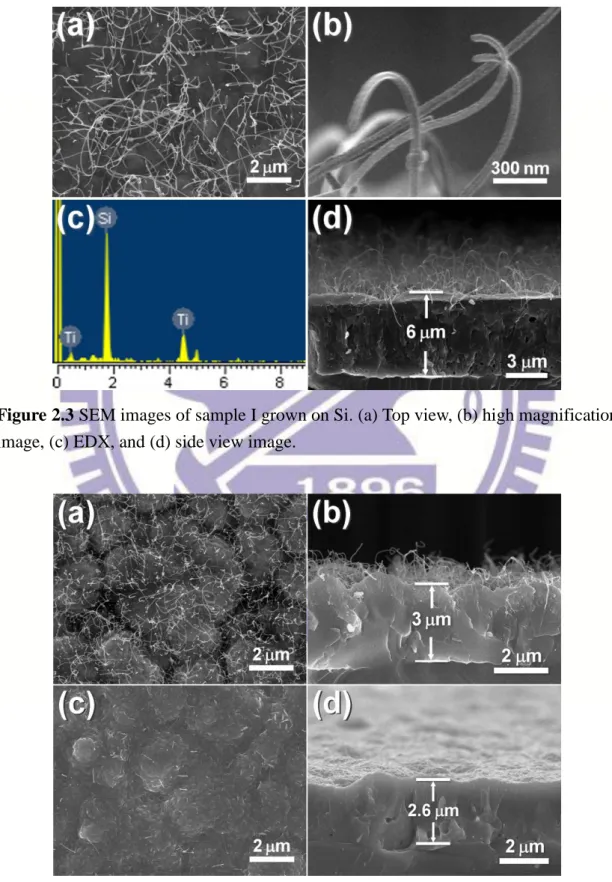 Figure 2.3 SEM images of sample I grown on Si. (a) Top view, (b) high magnification  image, (c) EDX, and (d) side view image