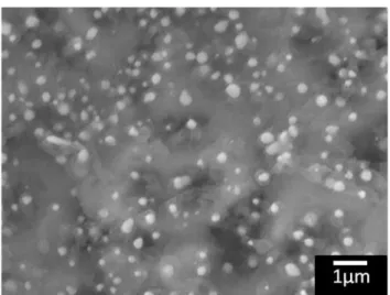 圖  4-1 800 ˚C 下生成的奈米顆粒之 SEM 圖 