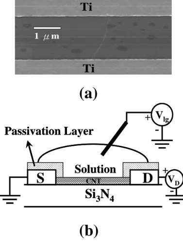 Fig. 11 (a) Topside view of the CNT FET testkey and (b) its measurement setup. SDSi3N4Passivation LayerV DVlgSolution++-CNT-SDSi3N4Passivation LayerVDVlgSolution++-CNT-(a) (b) 1 μmTiTi1 μmTiTi