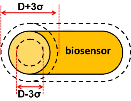 Fig. 2-7. Schematic sketch of a Si-NW biosensors with ±3σ diameter  variation.  