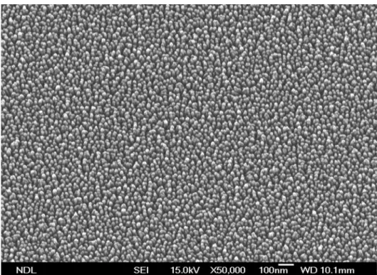 圖 4-1 奈米草之 SEM 影像圖（倍數：50,000） 