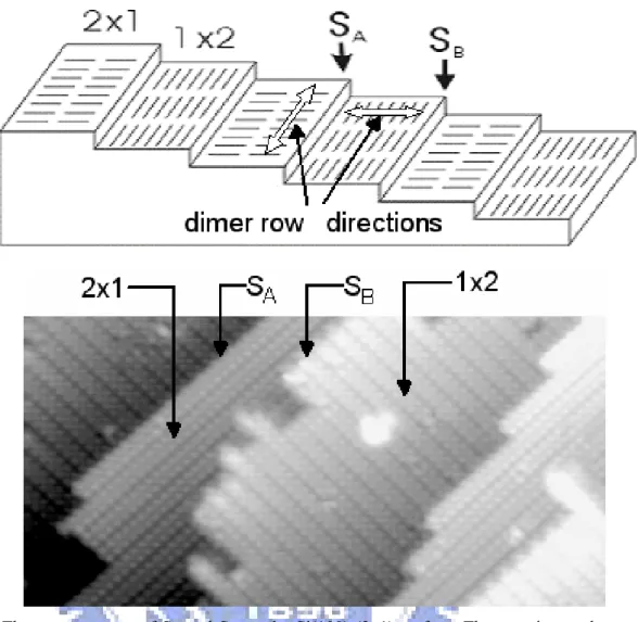 Fig. 1.6 The step structure of S A  and S B  on the Si(100)-(2x1) surface. The top picture shows the  different directions of the dimer rows in both S A  and S B  steps