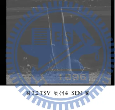 圖 3.2 TSV  側剖面 SEM 圖 