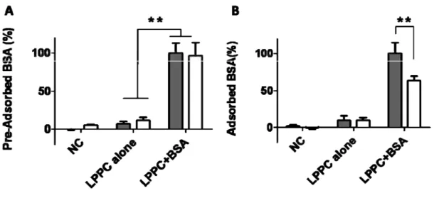 Figure 8. Effect of 0.2 M glycine solution to adsorptive ability. LPPC was incubated with BSA (A)