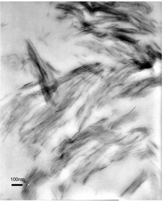 Figure 2.2 TEM micro-photos for the epoxy/organoclay nanocomposites ((a) 50,000  magnification)