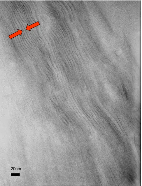 Figure 2.2 TEM micro-photos for the epoxy/organoclay nanocomposites ((b) 200,000  magnification)