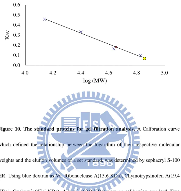 Figure  10.  The  standard proteins  for  gel filtration  analysis.  A  Calibration curve   