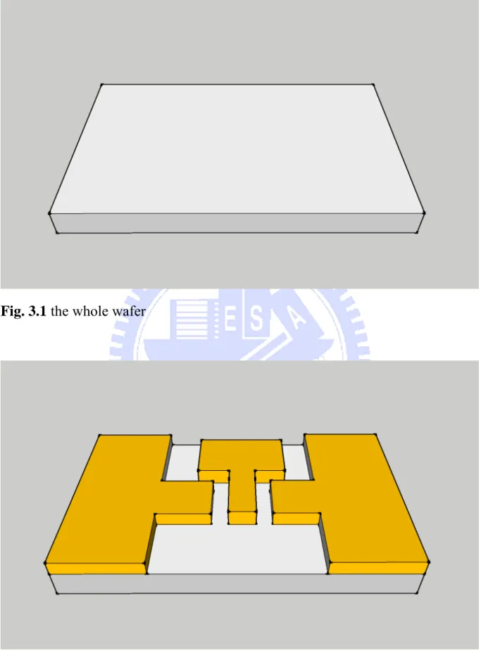 Fig. 3.1 the whole wafer   