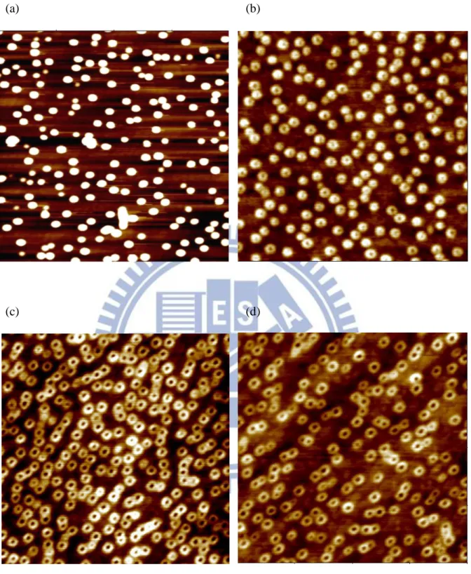 圖 3-4    1×1 m 2 的 AFM 表面形貌圖  (a) LM4683 (QDs) (b) LM4593(QVs)    (c) LM4729(QVs) (d) LM4691(QRs) 