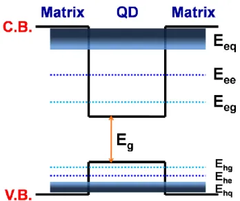 Figure 1-3: Schematic plots of energy levels in the QD system. Symbols: E g : bandgap  energy;  E e(h)g :  ground  state  energy  of  electron  (hole);  E e(h)e :  excited  state  energy  of  electron (hole); E e(h)q : qausi-continuous state energy of elec