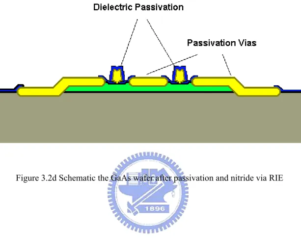 Figure 3.2d Schematic the GaAs wafer after passivation and nitride via RIE 