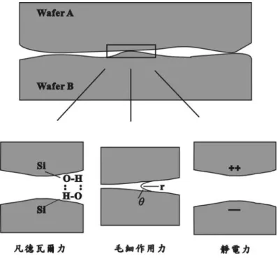 圖 2.1 晶圓接觸初期三種吸引力 [11] 2.1.1.1 凡德瓦爾力      單純藉由非偶極分子誘發的凡德瓦爾力 [12] ，在晶圓初期接觸的階段扮 演很搶眼的角色，無論是矽(Si)或者砷化鎵(GaAs)等半導體皆是對稱結 構，所以單純非偶極誘發的凡德瓦爾力難以存在於完全無氧化層結構的矽 (Si)或者砷化鎵(GaAs)晶圓上，舉例來說，當我們使用氫氟酸(HF)除去氧化 層時，會有很多的離子殘留在介面處形成 H‐F、H-O 和 H-N 的氫鍵(Hydrogen  bond)結構，兩片晶圓即是藉由這些產生