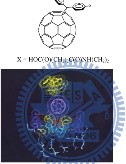 圖 1.24 The C 60  is colored magenta, and the van der Waals surface of the active site and  ligand are shown