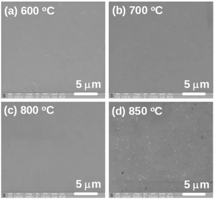 Fig. 2-11  SEM micrographs of the w/o CIA samples implanted at 30 keV with a dose  of 5x10 15  cm -2  with different silicide formation temperatures: (a) 600 °C, (b)  700 °C, (c) 800 °C, and (d) 850 °C