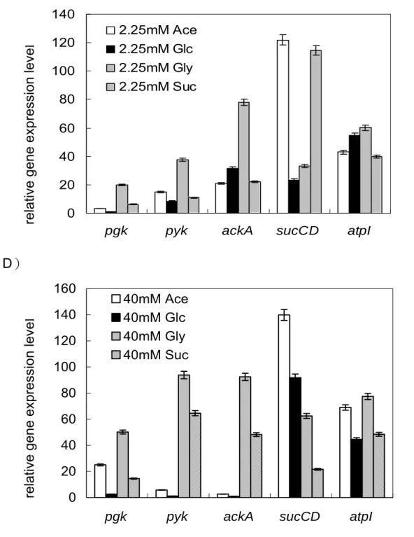 Fig 6. The quantitative northern blot analysis of pgk, pyk, ackA, sucCD and  atpI. The carbon sources were used in acetate, glucose, glycerol and succinate  minimal medium at 37 