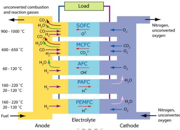 Figure  2.1    The  operating  conditions  and  mechanisms  of  different  fuel  cell  types 