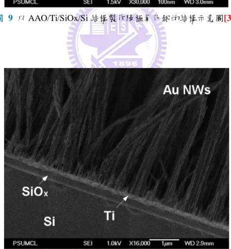 圖  10  利用 AAO/Ti/SiOx/Si 結構製作高密度的金奈米線陣列[34] 