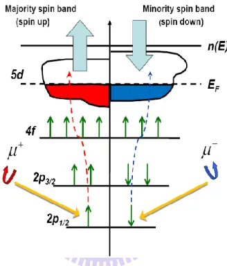 圖  14 電子受到左右旋光躍遷到費米能階上的示意圖[52] 
