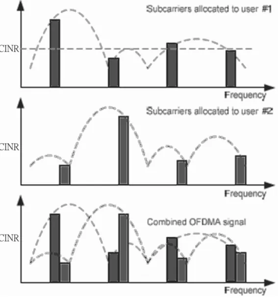 Fig. 2-7 Subcarrier allocation in an OFDMA symbol (from [9]). 