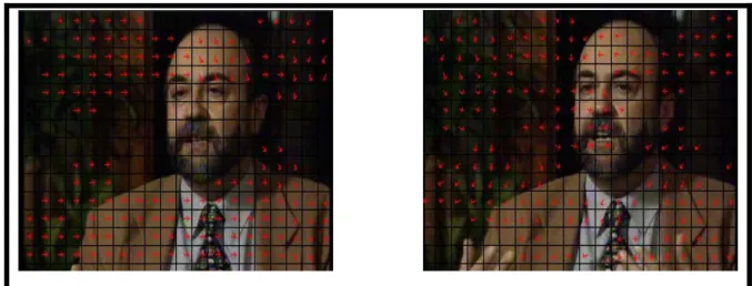 Fig. 3-3 extracted motion vectors from video stream “interview” 