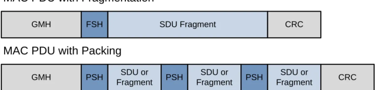 Figure 2-11: Examples of the Ordering of Payload and Subheaders in a MAC PDU 