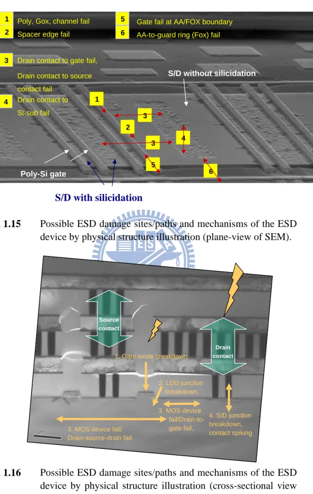 Fig. 1.15  Possible ESD damage sites/paths and mechanisms of the ESD  device by physical structure illustration (plane-view of SEM)