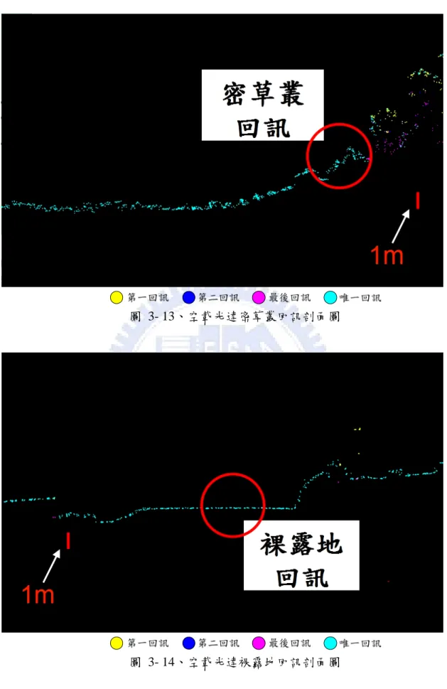 圖 3- 13、空載光達密草叢回訊剖面圖 