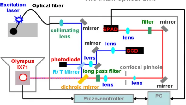 Fig. 2.4  The schematic diagram of fluorescence images and the lifetime measurement  system [2]