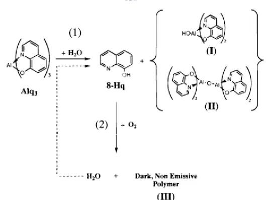 Figure 2.2 Scheme of (1) Trans-Complexation of 8-Hq with Water in the Alq 3