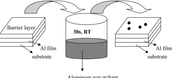 Figure 3.5 Schematic diagrams of etching process for decoration of Al hillocks. 