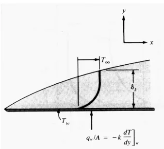 Figure 2-9 Temperature profile in the thermal boundary. 