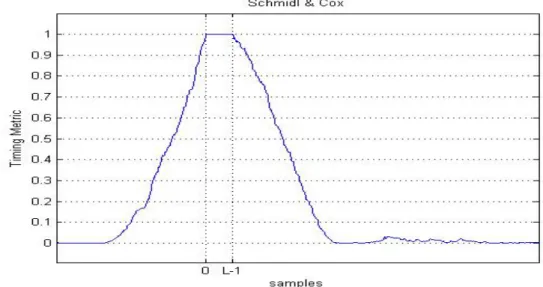 Figure 4.1-4 The timing metric has the length of plateau is L 