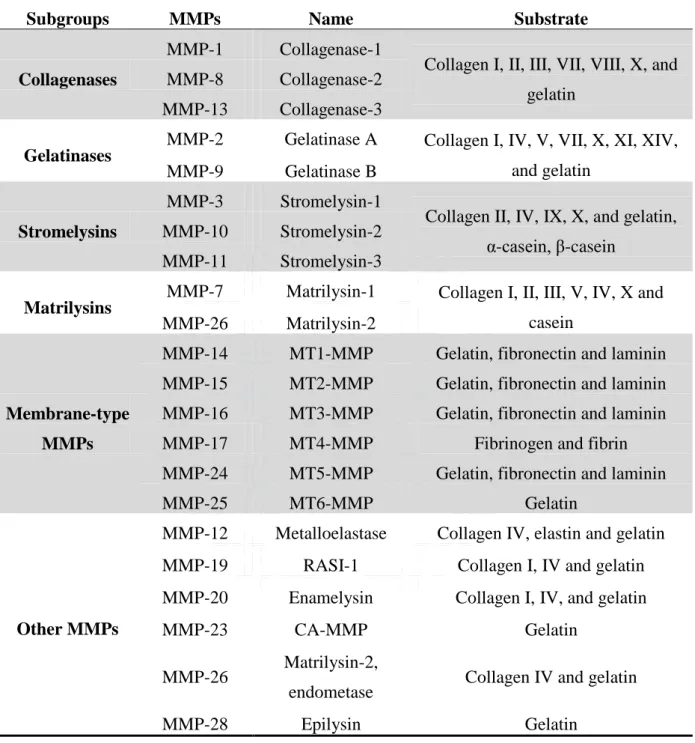 Table 1-4. Types of different matrix metalloproteinases and their substrate specificity